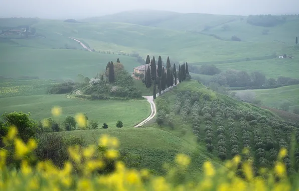Flowers, house, hills, field, Italy, Tuscany