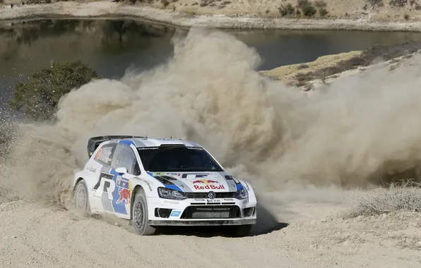 Mexico, rally, wrc, polo, 2013