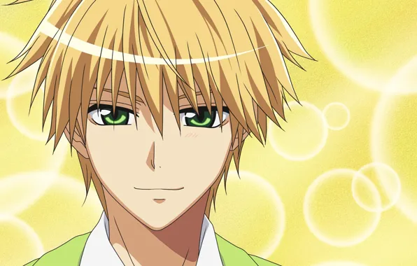 Look, anime, art, guy, Kaichou wa Maid-sama!