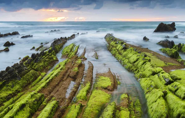 Sea, algae, rocks, Spain, Barrika, Biscay