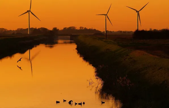 Picture the sky, sunset, duck, mill, channel, generator