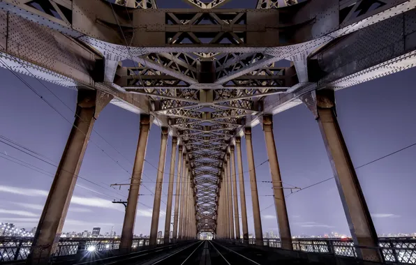 Bridge, the city, new york city