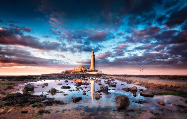 Sea, clouds, landscape, nature, reflection, stones, lighthouse, the evening