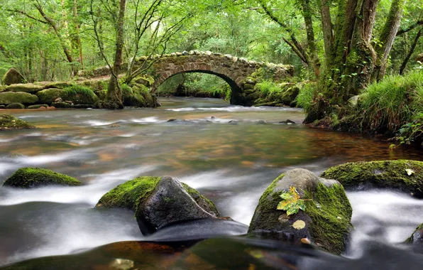 Landscape, bridge, river