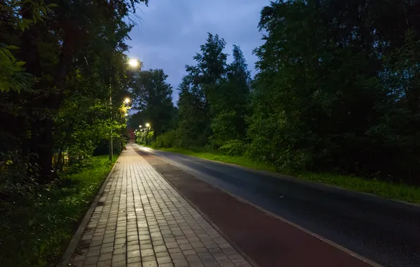 Road, summer, the sky, trees, clouds, the evening, lights, Russia