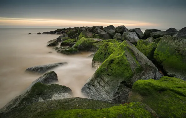 Sea, the sky, clouds, algae, green, stones, shore, moss