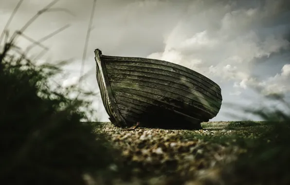 Grass, shore, boat, wooden