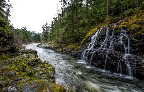 Forest, the sky, trees, river, stones, rocks, shore, for
