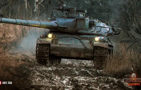 Forest, top, the Frenchman, World of Tanks, AMX 30B