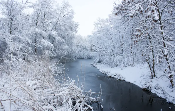 Winter, snow, trees, landscape, river, white, river, landscape