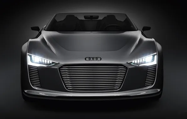 Picture light, Audi, lights, grille