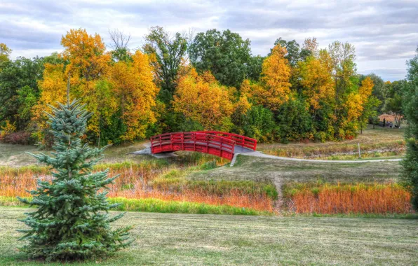Autumn, the sky, grass, trees, bridge, Park