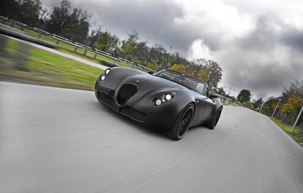 Picture road, car, machine, Wiesmann, Black, Bat