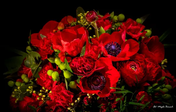 Picture red, bouquet, tulips, anemones, Ranunculus, clove