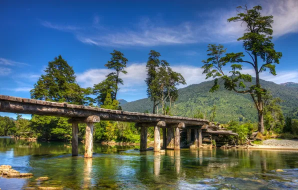 Picture forest, the sky, the sun, clouds, trees, mountains, bridge, river