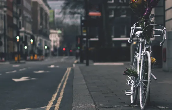 Picture bike, flowers, street