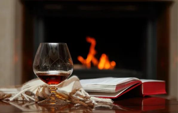Glass, the evening, book, fireplace, plaid, cognac