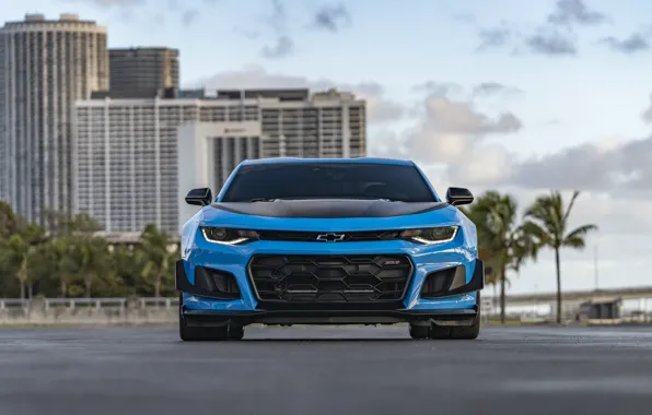 Picture Chevrolet, Camaro, ZL1, Front view