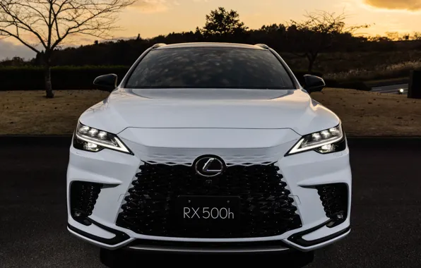 Picture Lexus, Lexus, front view, 2022, Lexus RX 500h