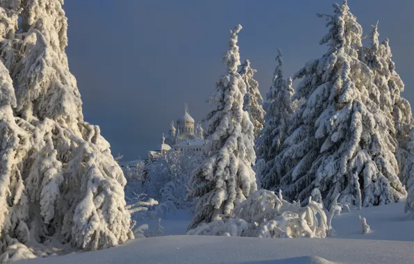 Picture winter, snow, trees, landscape, nature, ate, temple, Belogorye