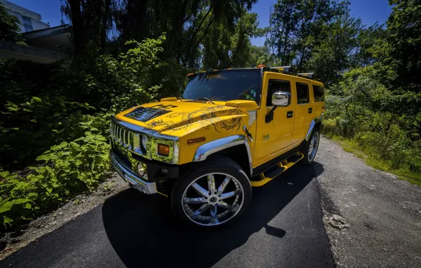 Picture yellow, background, Hammer, drives, Hummer, the front, Vilner