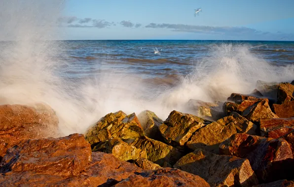 Picture sea, wave, squirt, birds, stones, the ocean, seagulls, Argentina