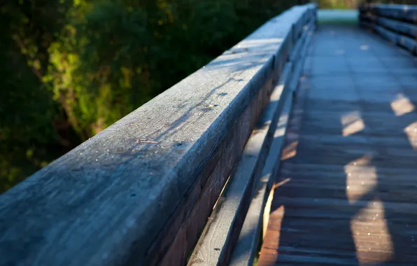 Bridge, nature, focus