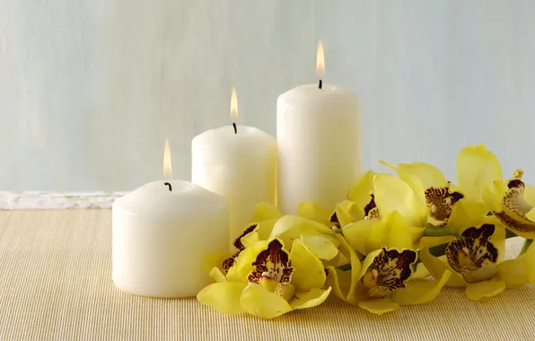 Candles, bamboo, orchids, Spa