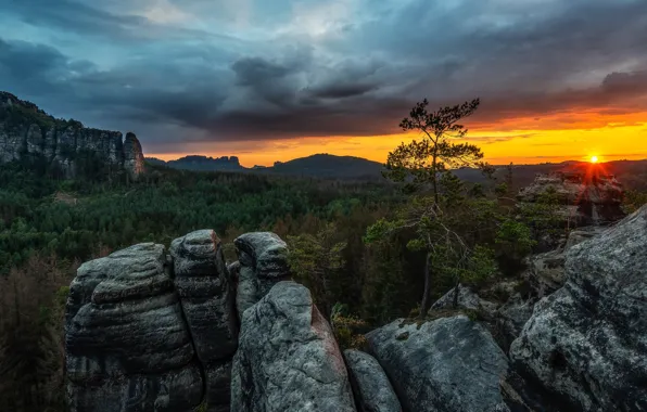 Forest, the sky, the sun, clouds, rays, trees, sunset, mountains