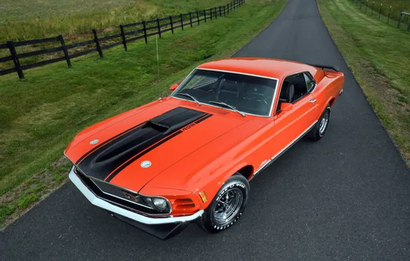 Mustang, Ford, 1970, Mach-1