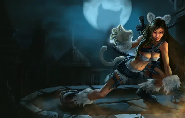 Picture cat, weapons, ears, league of legends, katarina, the moon, the city, tail