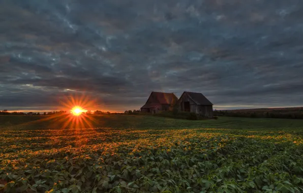 Picture field, night, house