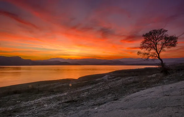 Clouds, sunset, mountains, tree, shore, dal, pond, sunset sky