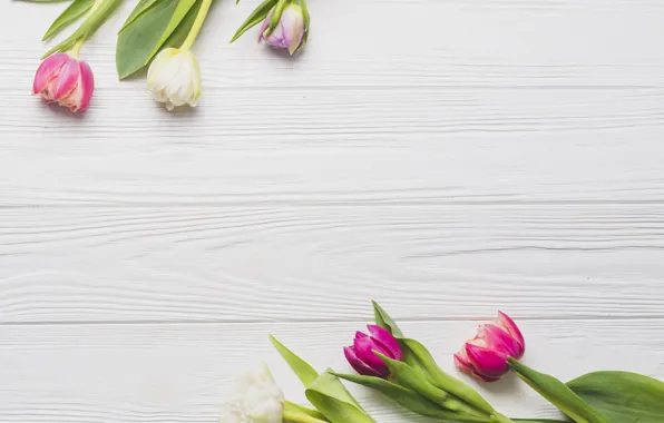 Flowers, spring, colorful, tulips, pink, wood, pink, flowers