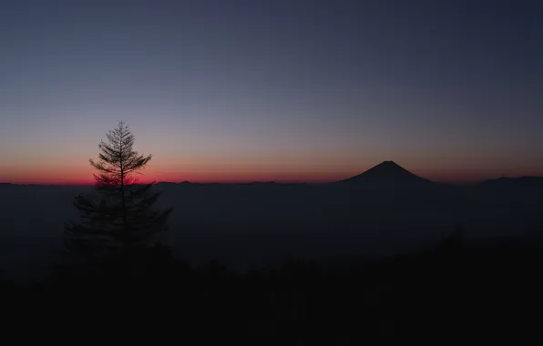 Picture the sky, tree, mountain, Japan, horizon, glow, Fuji
