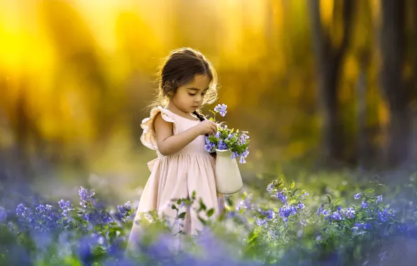 Picture flowers, glade, girl, pitcher