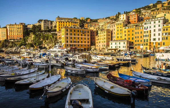 Home, boats, port, Italy, Liguria, Camogli