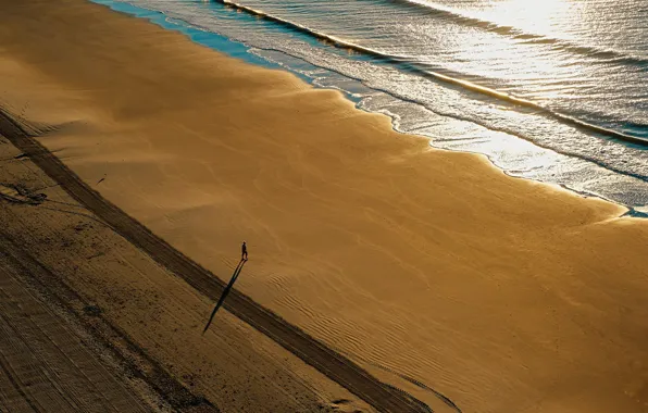 Picture sea, summer, shore, people
