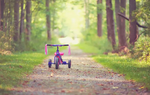 Leaves, trees, bike, childhood, background, tree, pink, widescreen