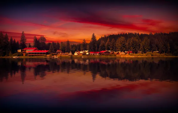 The sky, trees, landscape, lake, home