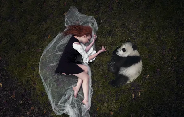 Picture girl, background, Panda