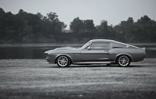Picture Wallpaper, Mustang, Ford, Shelby, GT500, Eleanor, Ford, legend