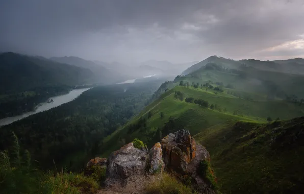 Forest, mountains, fog, river, stones, overcast, hills, the slopes