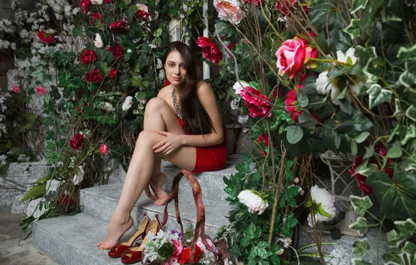 Look, girl, pose, roses, legs, Isabella