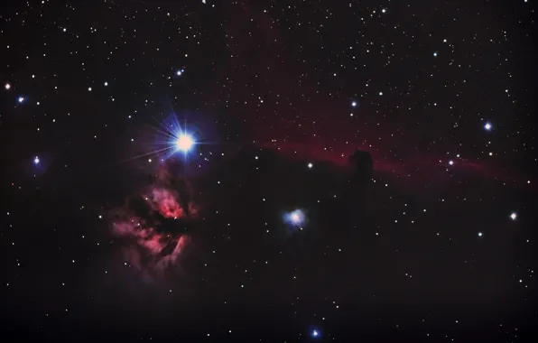 Nebula, dark, Horse Head, Orion, in the constellation