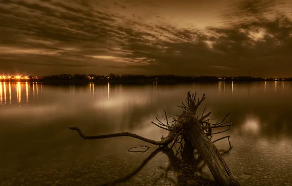 Picture lights, river, root, the evening