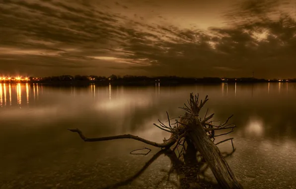 Lights, river, root, the evening