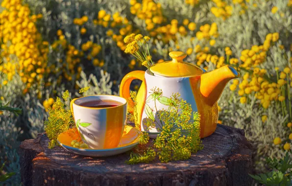 Flowers, yellow, tea, stump, yellow, garden, kettle, dill