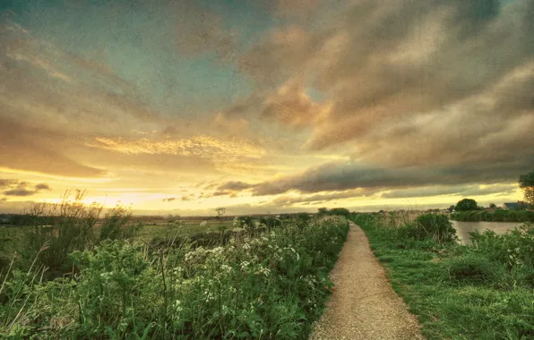 Road, field, style, background