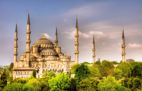 Trees, nature, the city, Istanbul, Turkey, Turkey, The blue mosque, Sultan Ahmed Mosque
